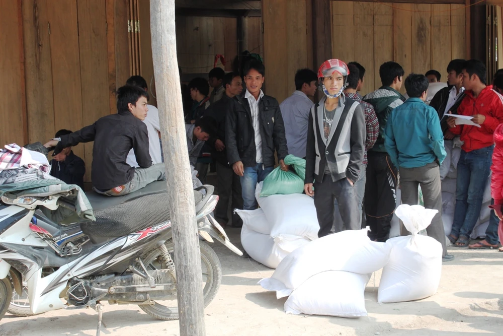 Cấp 506 tấn gạo của Chính phủ cho bệnh viện, người nghèo đón tết ảnh 1